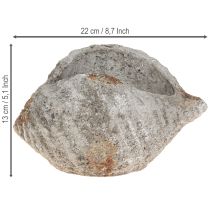Artikel Blomkruka skalsten antikgrå maritim 22×18×13cm