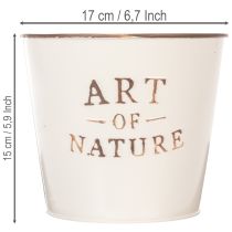 Artikel Zinkkruka Art of Nature Cream Ø17,5cm H15cm