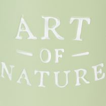 Artikel Zinkkruka Art of Nature mintgrön Ø17,5cm H15cm