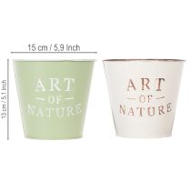 Artikel Art of Nature kruka med text, dekoration för fönsterbräda och vardagsrum, 15 cm, 2 stycken