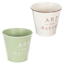 Artikel Art of Nature kruka med text, dekoration för fönsterbräda och vardagsrum, 15 cm, 2 stycken