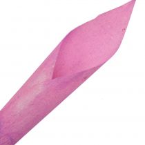 Blomtratt cigarr calla rosa 18cm - 19cm 12st