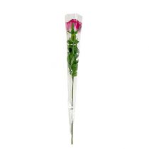 Artikel Blompåse otryckt 54x12x3cm 50 st