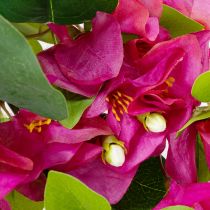 Artikel Konstgjord bougainvillea blomgren för vårdekoration 100 cm