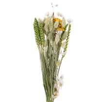 Artikel Torkad blombukett, elegant torkad blombukett för vardagsrum, 50 cm