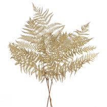 Artikel Torkade blommor dekorativ ormbunke torkade ormbunksblad 70cm 10 st
