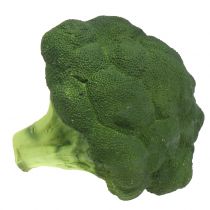 Broccoli Ø16cm