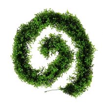 Buxbom Garland Grön L170cm