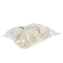 Artikel Buddhanöt blekt 10 st