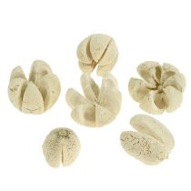 Artikel Deco blossom blekt 12 st