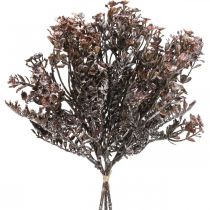 Artikel Konstgjorda växter brun höstdekoration vinterdekoration Drylook 38cm 3 st