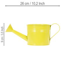 Artikel Färgglad dekorativ vattenkanna, Ø11 cm, H9,5 cm, för plantering, vårbordsdekoration, metall, set om 8