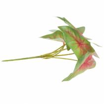 Artikel Konstgjord kaladium sexbladig grön/rosa konstgjord växt som äkta!