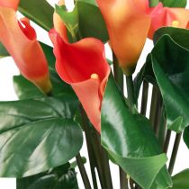 Artikel Calla Lily Aprikos Calla Konstgjorda Blommor Orange Exotisk 44cm