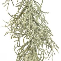 Artikel Calocephalus Garland Konstgjorda växter Silvergrå 122cm
