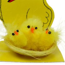 Artikel Chenille Chicks i Nest Mix Ø 5,5cm 3st