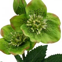 Julros fastelavnsros Hellebore konstgjorda blommor grön L34cm 4st