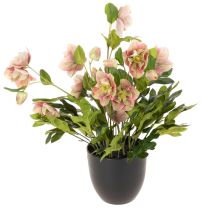 Artikel Konstgjord Helleborus krukväxt, julros, för heminredning, 50 cm