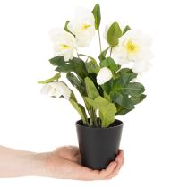 Artikel Konstgjord julros, krukblomma, bordsdekoration, 34 cm