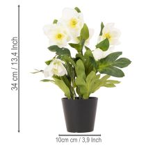 Artikel Konstgjord julros, krukblomma, bordsdekoration, 34 cm