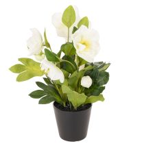 Artikel Konstgjord julros, krukblomma, bordsdekoration, 34 cm