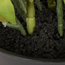 Artikel Konstgjord julros, krukblomma, bordsdekoration, 34 cm