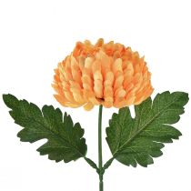 Artikel Krysantemum orange Ø7cm L18cm 1 st