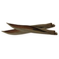 Artikel Kokosskal naturliga 60cm 5 st