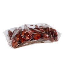 Artikel Compacta Rosette orange 40 st