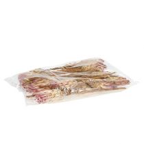 Artikel Compacta Rosa 25 st