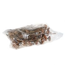 Artikel Compacta Rosett 100 st