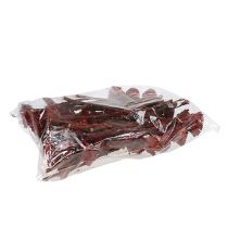 Artikel Compacta Rosett Erika 40 st