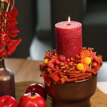 Artikel Craspedia torkad blombukett 55 cm 20 st