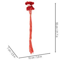Artikel Torkade Craspedia-blommor, färgade, med långa stjälkar, 55 cm, 20 stycken