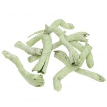 Cupy rötter, Pepe Cone ljusgrön, vit tvättad 350g