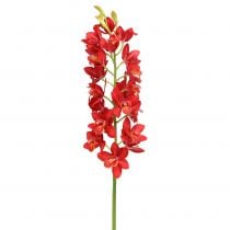Orchid cymbidium röd 78cm