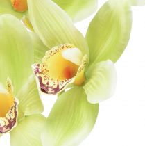 Artikel Cymbidium orkidé konstgjord 5 blommor grön 65cm