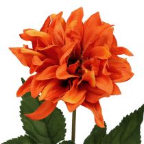 Dahlia Orange 28cm 4st