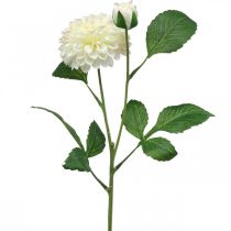Artikel Dahlia konstgjorda blommor krämgröna 2 blommor 60cm