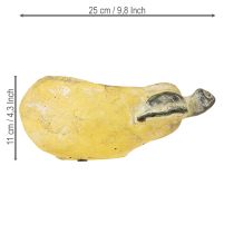 Artikel Dekorativ päronplanter höstkruka betong 25×13×11 cm