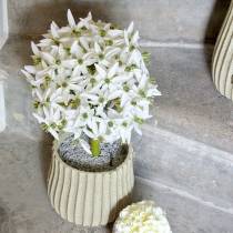 Artikel Dekorativ blomma Allium, konstgjord kul purjolök, prydnadslök vit Ø20cm L72cm