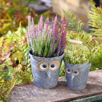 Artikel Dekorativ hink uggla zinkplanter med handtag Ø15/19cm set om 2