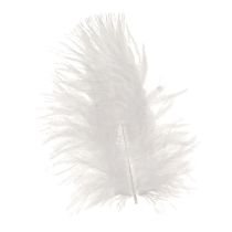 Artikel Dekorativa fjädrar i vitt hantverksmaterial fjäder 5-10cm 20g