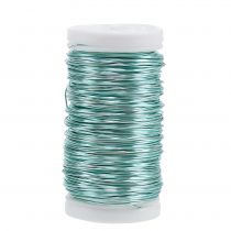 Dekorativ emaljerad tråd isblå Ø0.50mm 50m 100g