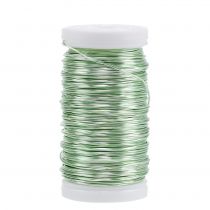 Artikel Deco emaljerad tråd mintgrön Ø0,50mm 50m 100g