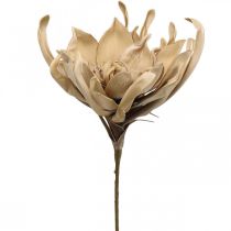 Deco lotusblomma konstgjord lotusblomma konstgjord blomma beige L68cm