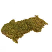 Artikel Dekorativ mossa för att tillverka ljusgrön naturlig mossa konserverad 150g
