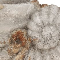 Artikel Blomkruka med dekorativ skalstenslook 22,5x13,5x13,5cm