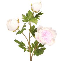 Artikel Dekoration Pioner Rosa 3 Blommor Lång Stjälk L80cm 2st