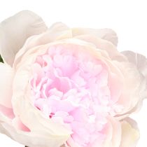 Artikel Dekoration Pioner Rosa 3 Blommor Lång Stjälk L80cm 2st